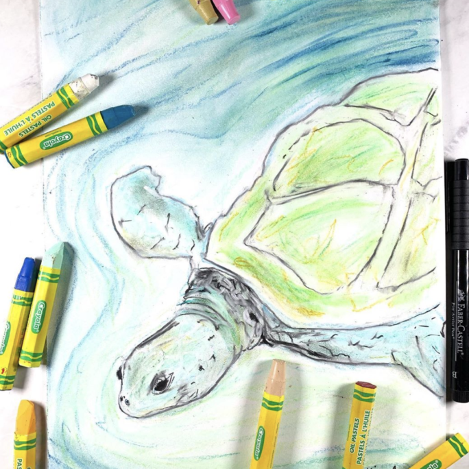 ProjPack Elementary Sea Turtle