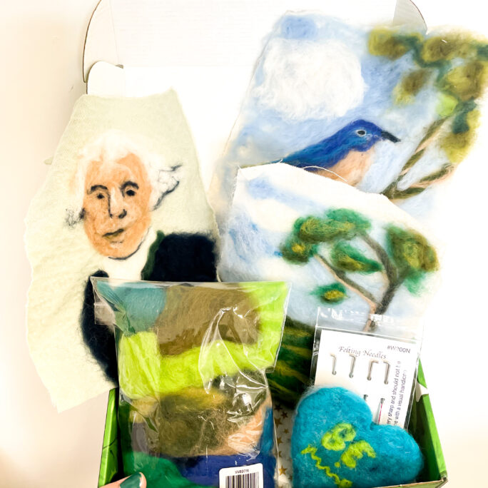 Needle Felting ProjPack - ages 12+ only