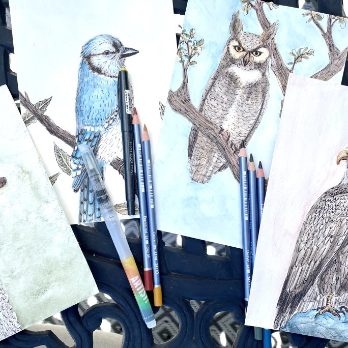 Watercolor Pencil Fowl Drawings