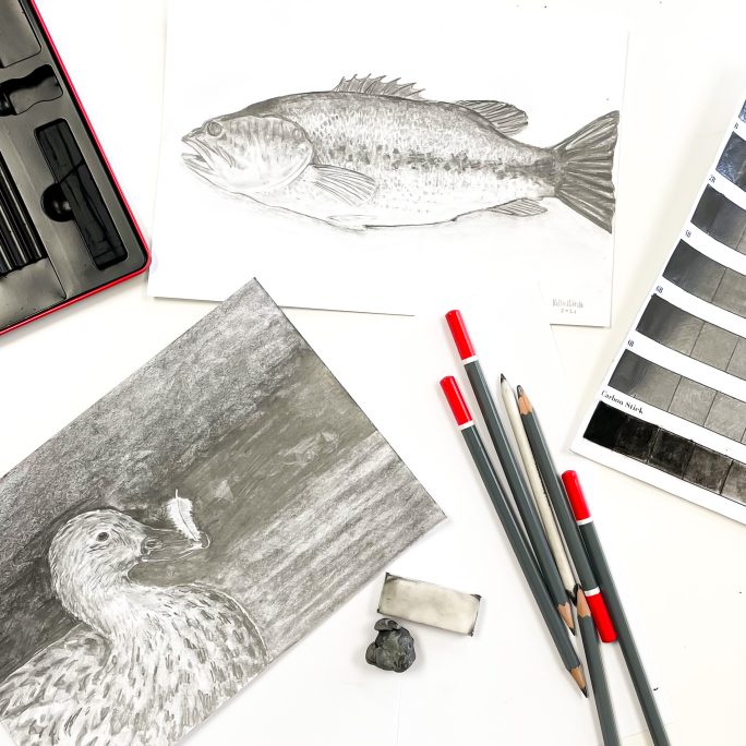 Woodland Animal Drawing Lessons